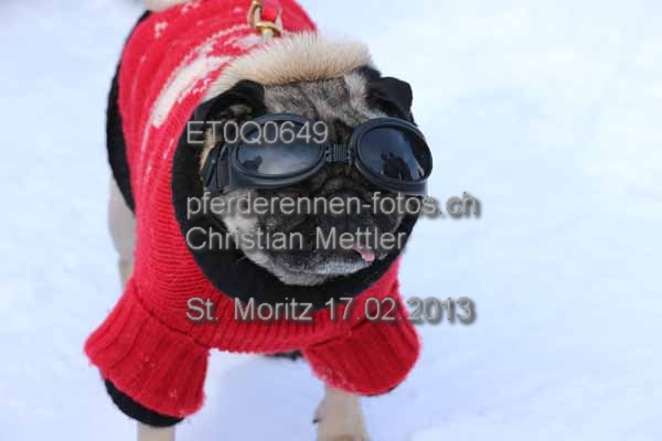 ET0Q0649 prot